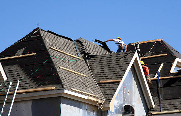 Best Storm Damage Roof Repair  in Cadott, WI