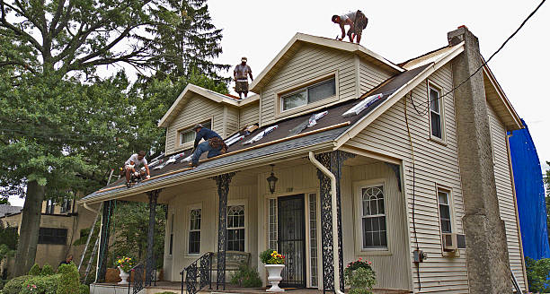 Best Metal Roofing Contractor  in Cadott, WI